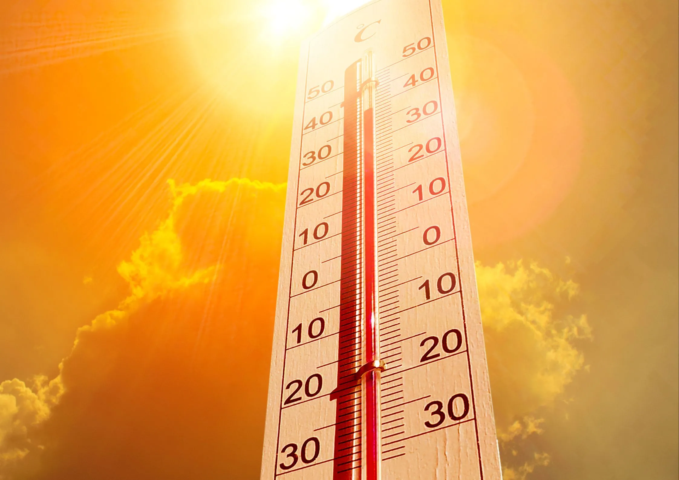 Cover image for Sardinia weather, intense heat returns: possible 40 degrees from Thursday